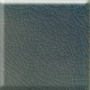 AndamanGreen4