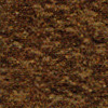 Browny