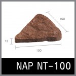 NAP NT-100