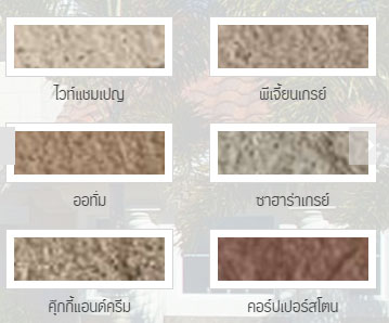 9in1color